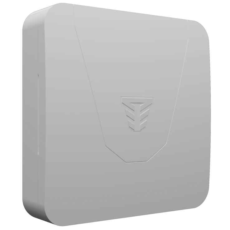 Tiras 